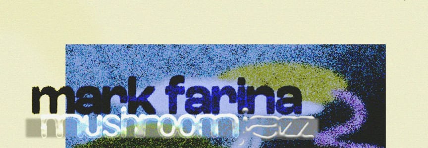 Mark Farina