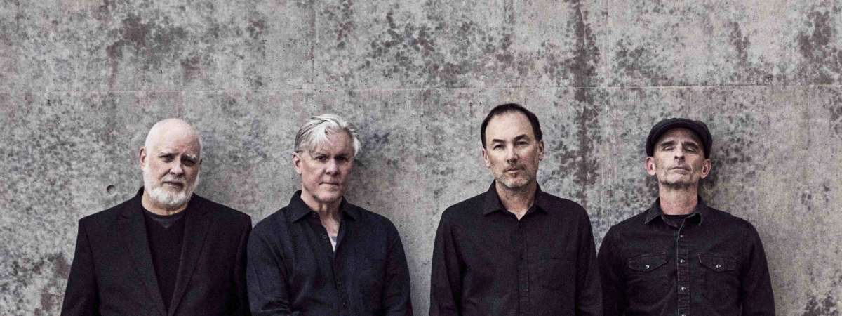 Toadies