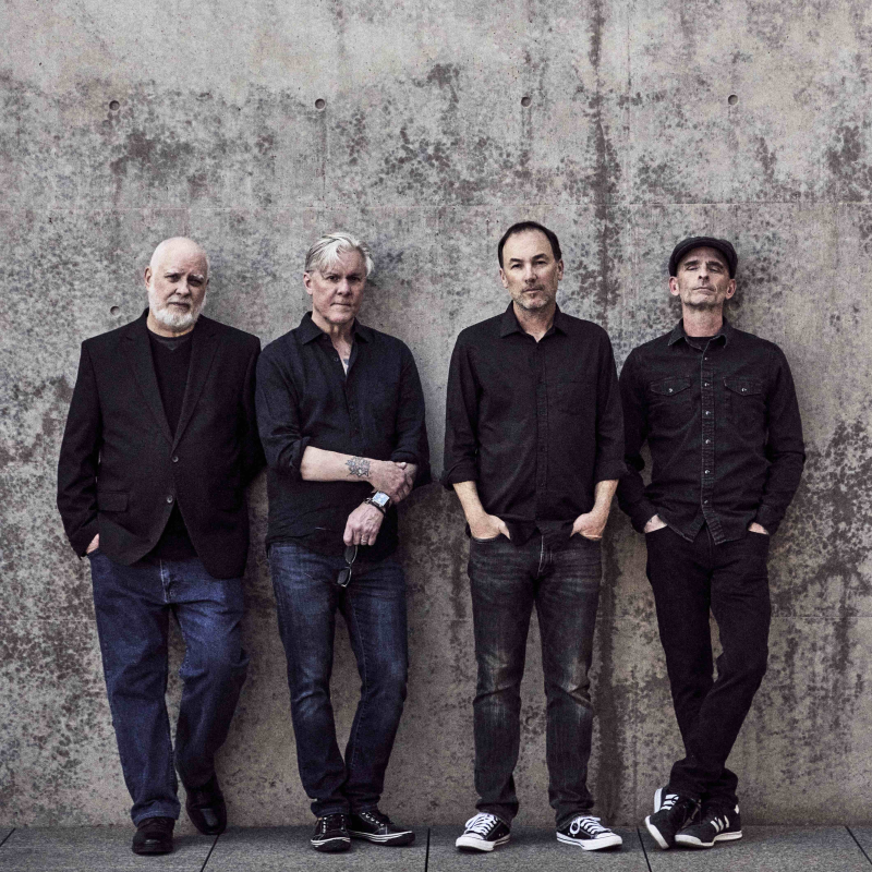 Toadies