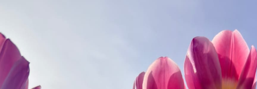 Free Member Photo Day: Mother’s Day
