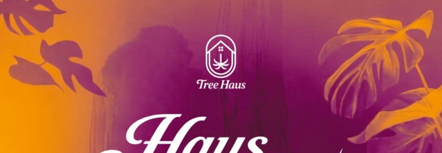 Haus Sundays