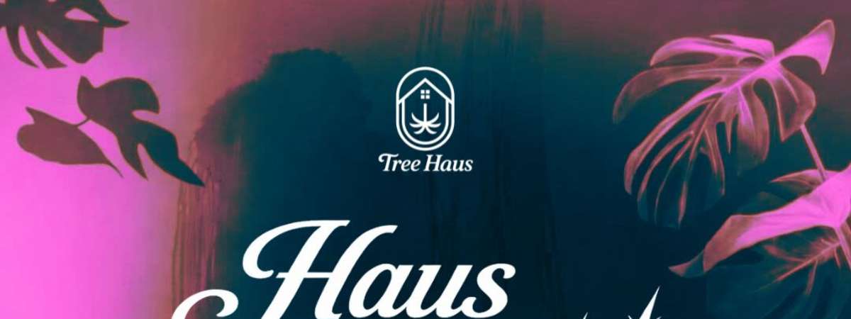 Haus Sundays