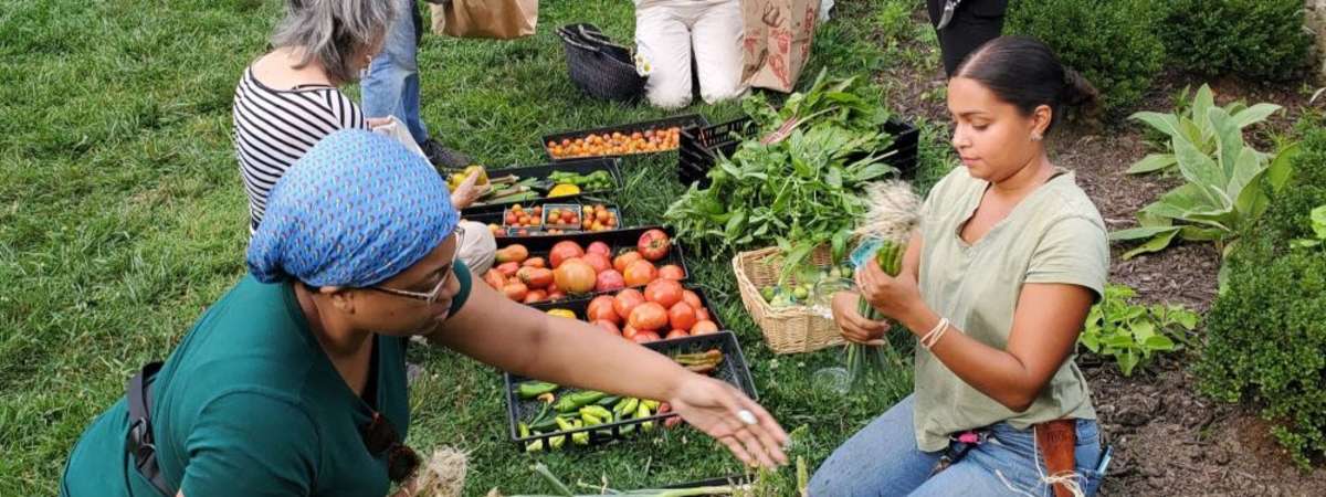 Home Farm Club at Wyck