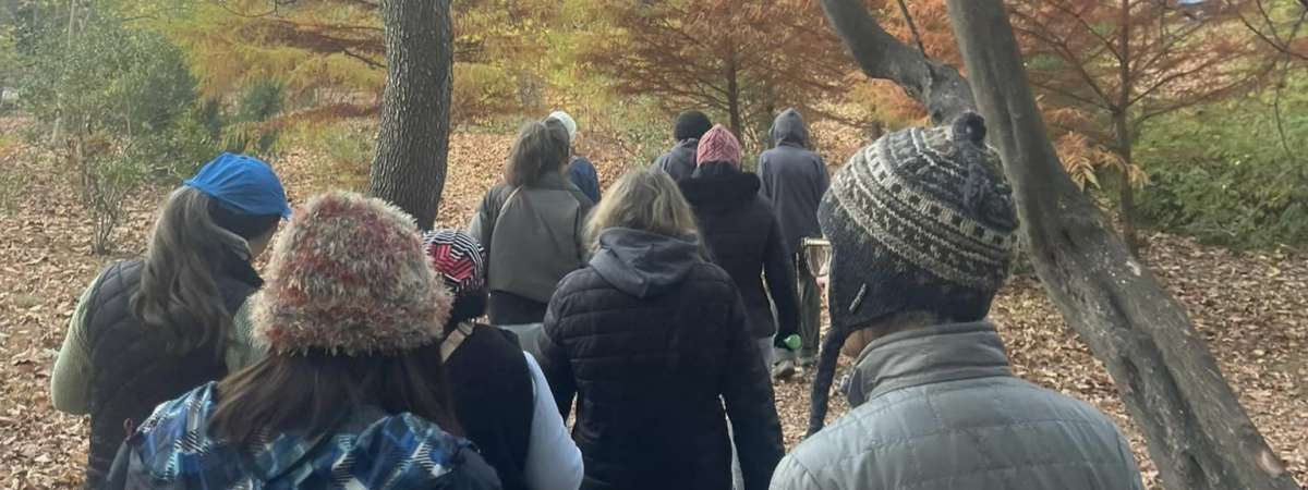 Wellness Walks