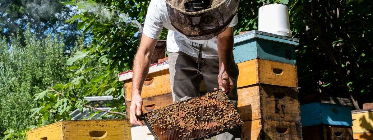 Philadelphia Honey Festival