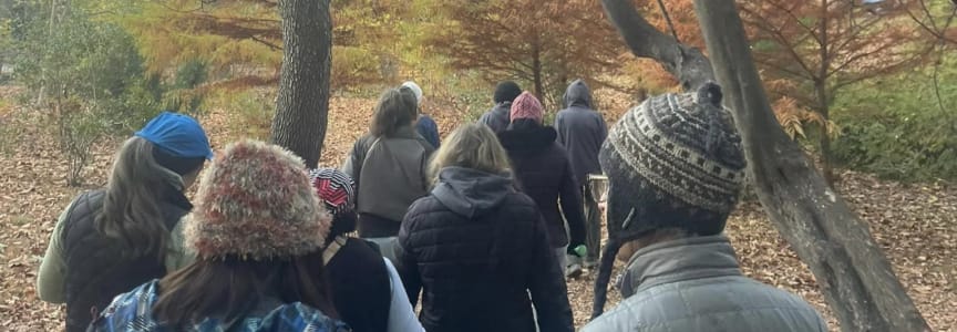 Wellness Walks