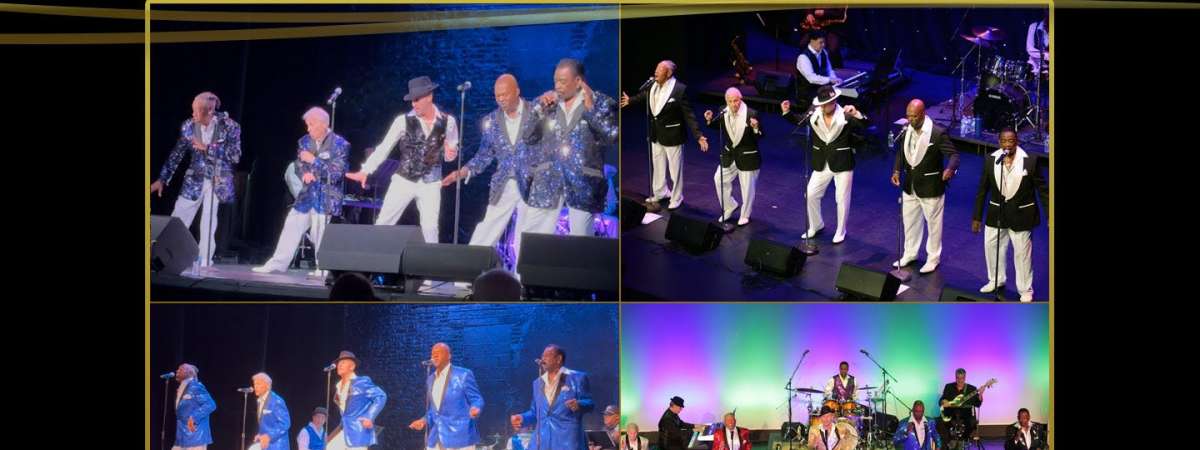 Dancing in the Aisles, The Ultimate Motown Experience