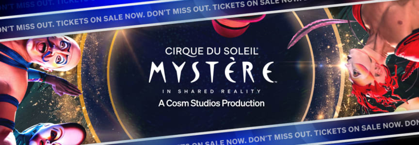 Matinee: Mystère by Cirque du Soleil flyer