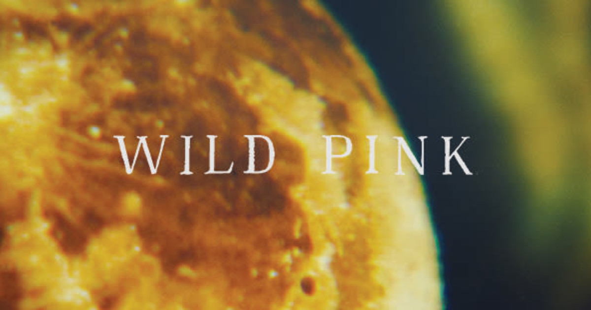 Wild Pink