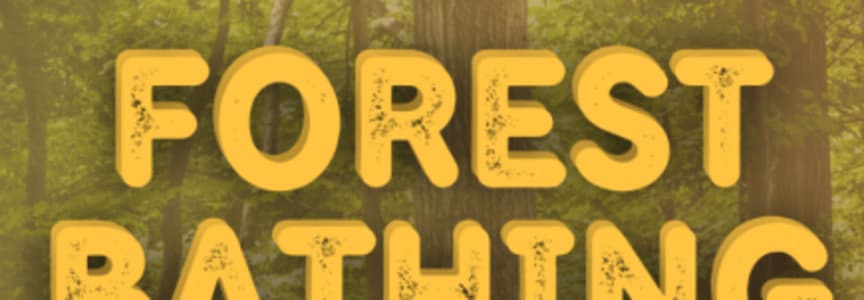 Forest Bathing with Fishers Parks