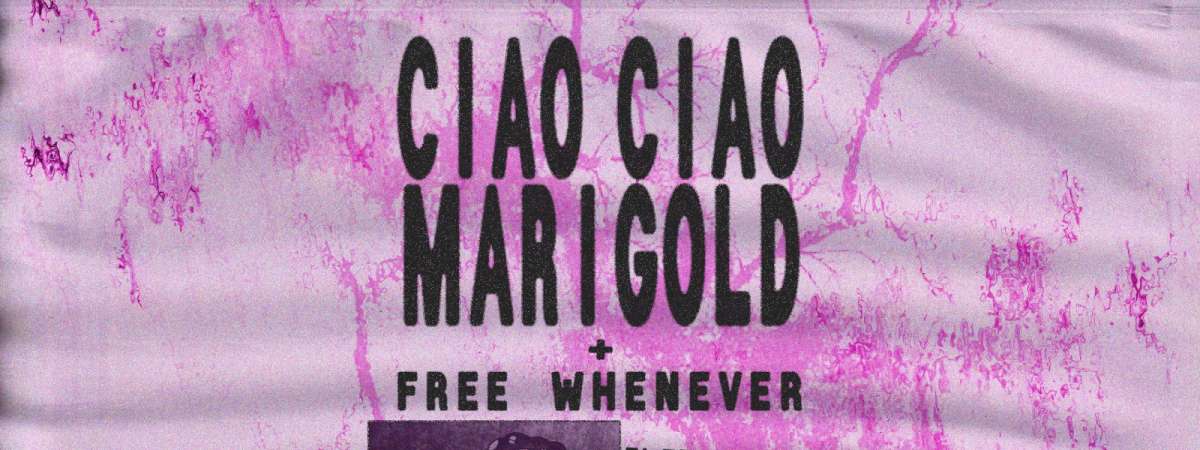 Ciao Ciao Marigold, Free Whenever