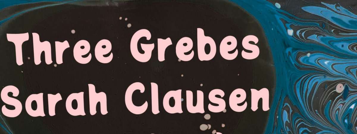 Three Grebes, Sarah Clausen, Powerbook