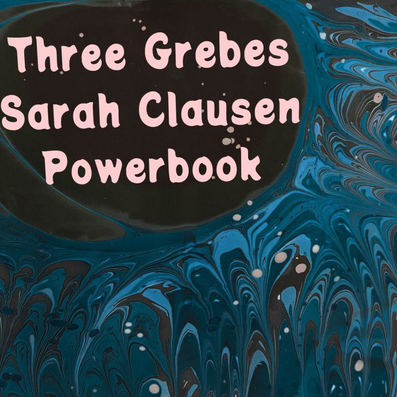 Three Grebes, Sarah Clausen, Powerbook