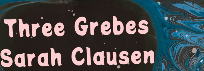 Three Grebes, Sarah Clausen, Powerbook
