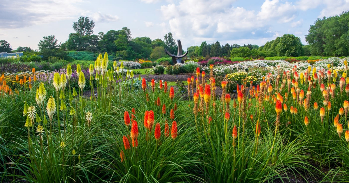 Photograph Hidden Gems of the Garden