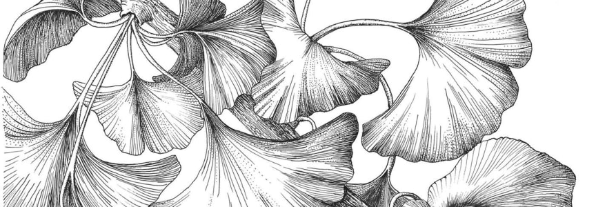 Pen and Ink 1 | Online