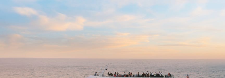 Field Associates Brunch Cruise