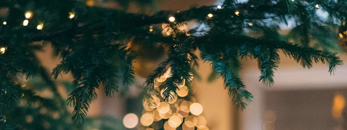 Wandering Roots: Holiday Market Sip & Shop