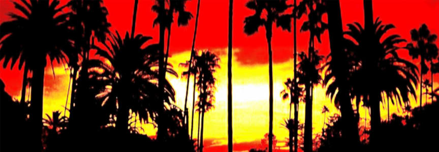 Hotel California - A Salute to The Eagles