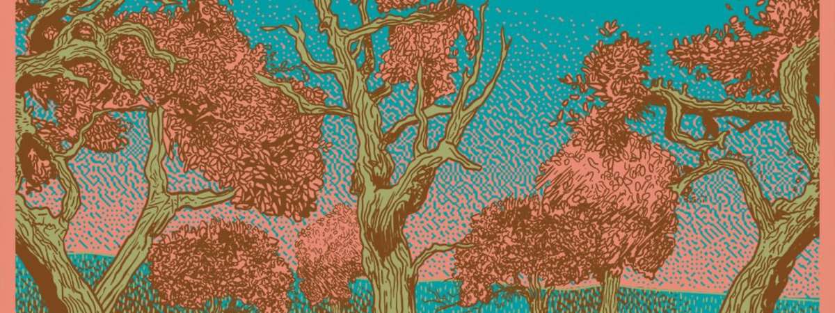 Band of Horses - Celebrating 20 Years of Everything All The Time