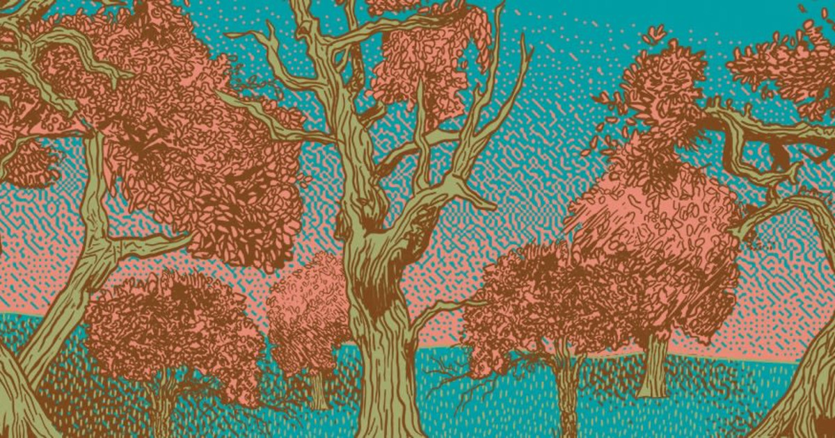 Band of Horses - Celebrating 20 Years of Everything All The Time Austin concert poster