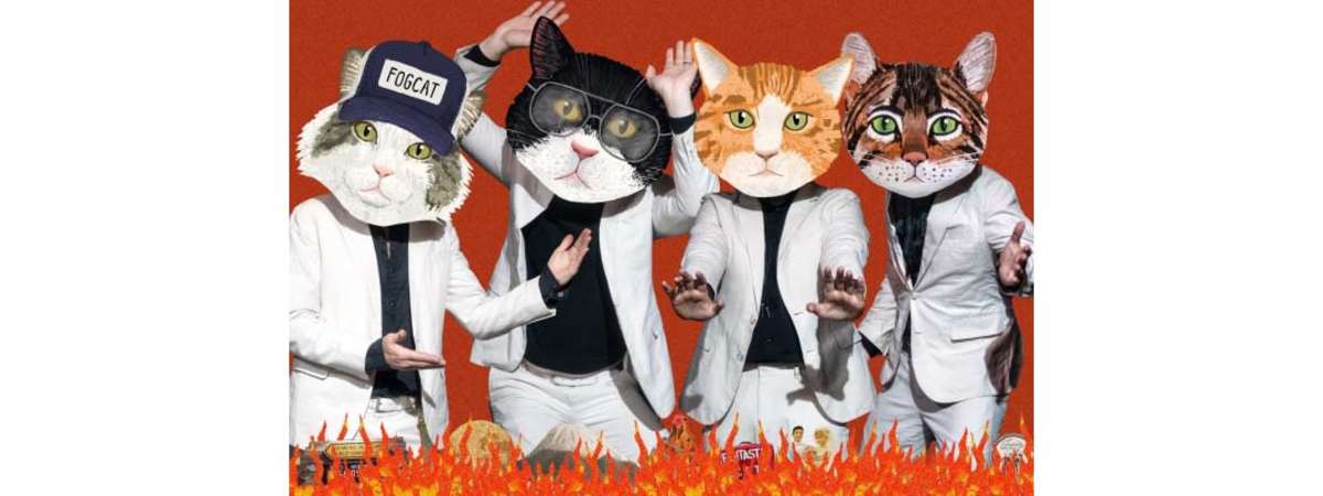 Fantastic Cat