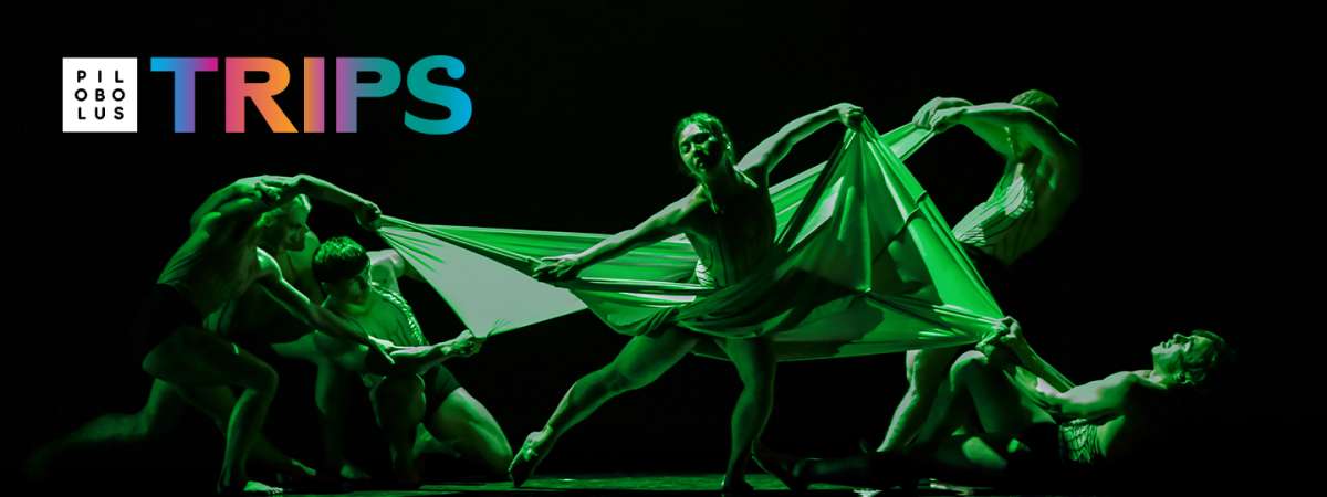 Pilobolus: Trips