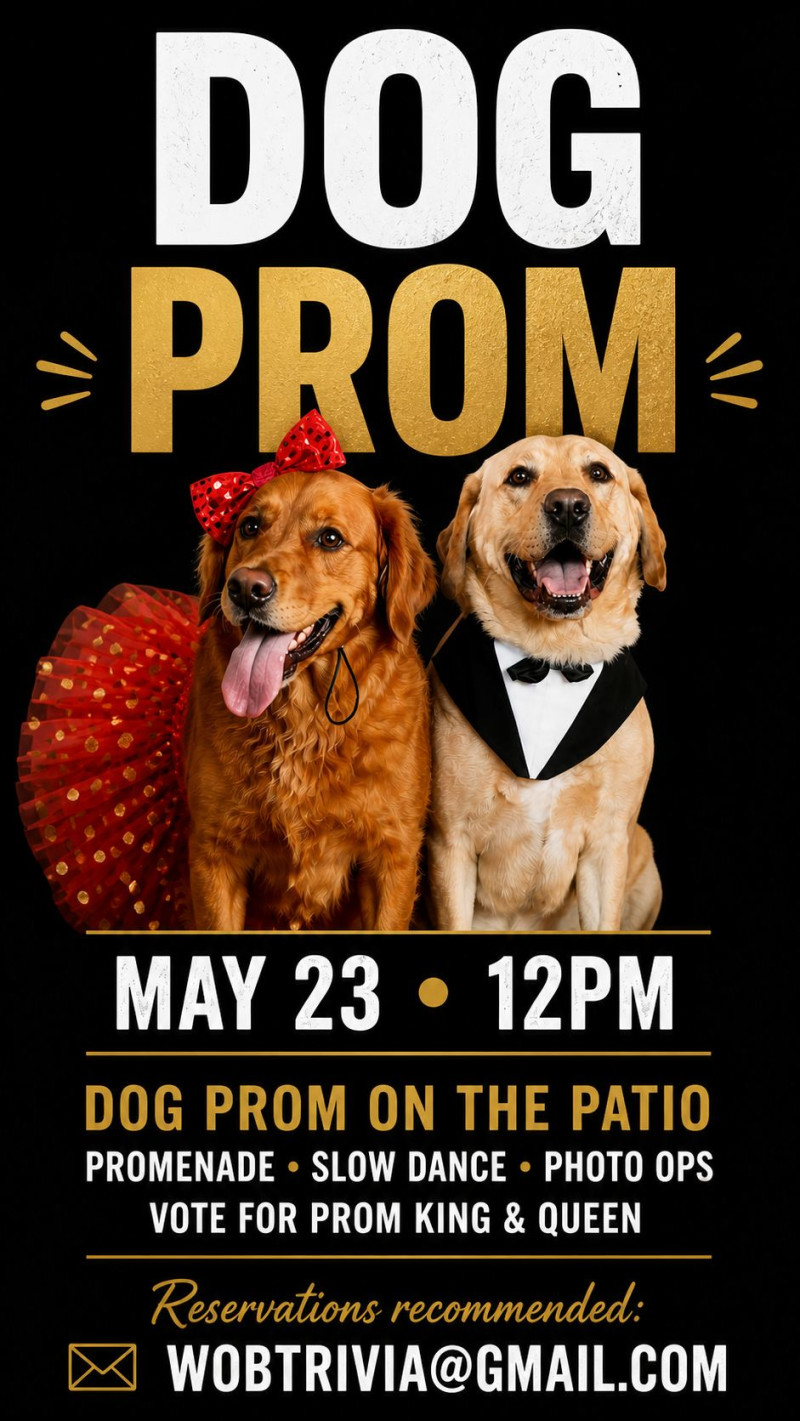 Dog Prom in Louisville at World of Beer