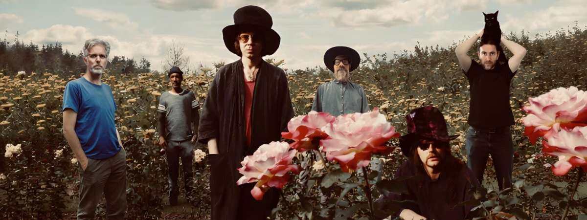 The Tear Garden (The Legendary Pink Dots & cEvin Key)