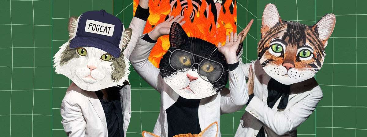 Fantastic Cat
