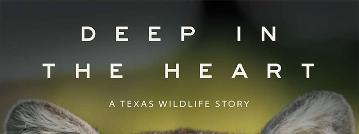 Deep in the Heart: A Texas Wildlife Story