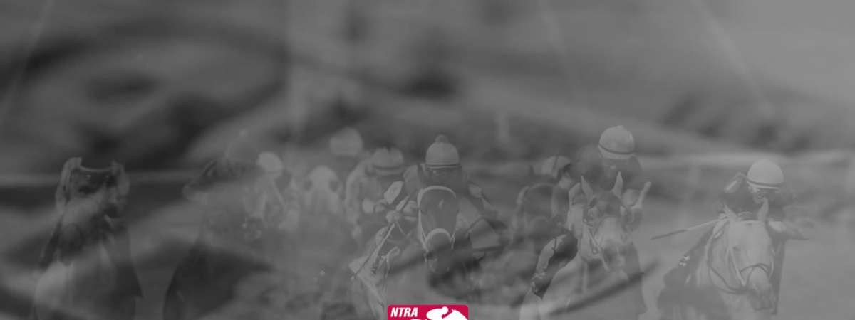Lone Star Million Betting Challenge