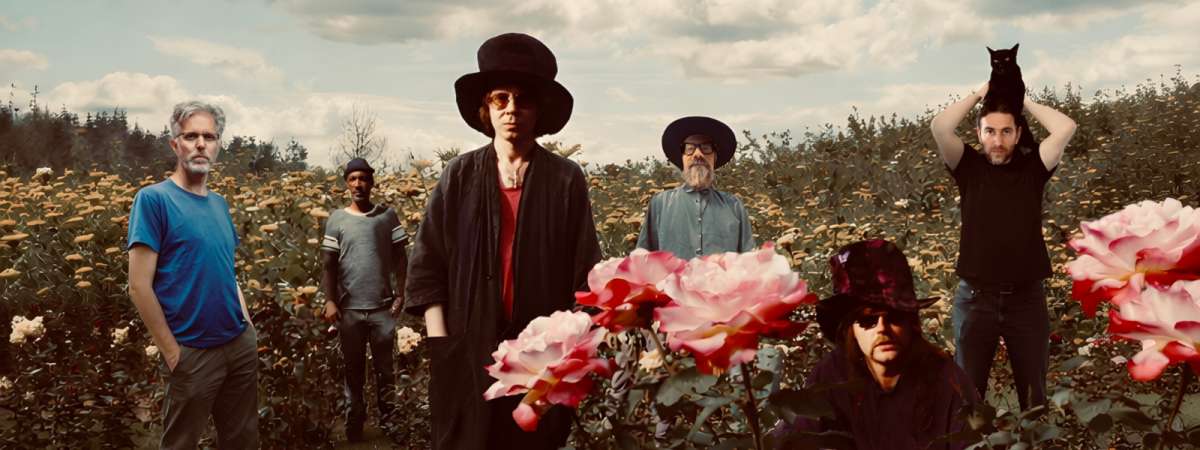 The Tear Garden (The Legendary Pink Dots & cEvin Key)