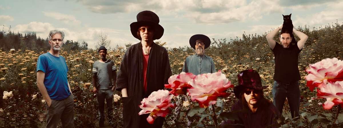 The Tear Garden (The Legendary Pink Dots & cEvin Key)