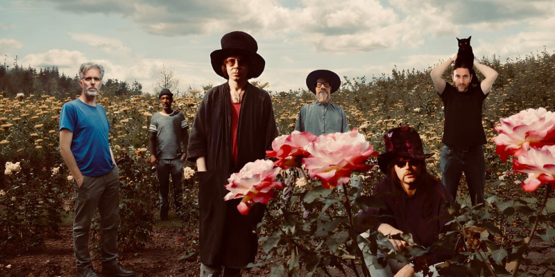 The Tear Garden (The Legendary Pink Dots & cEvin Key)