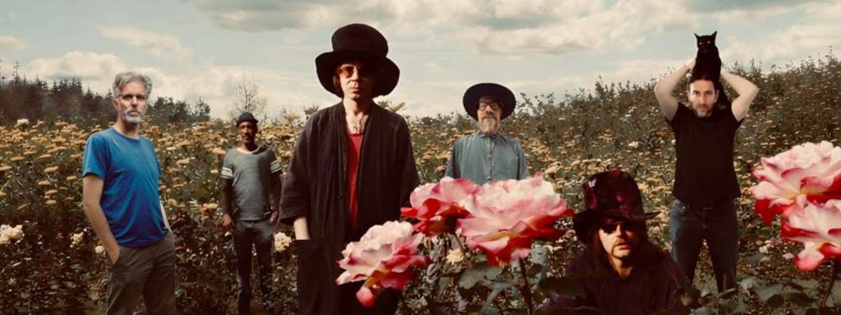 The Tear Garden (The Legendary Pink Dots & Cevin Key)