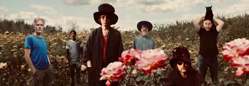 The Tear Garden (The Legendary Pink Dots & Cevin Key)