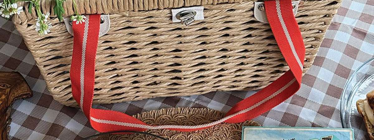 Local Travel and Picnic Series