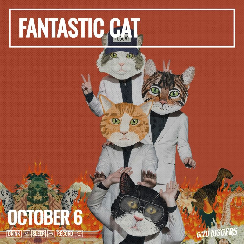 Fantastic Cat