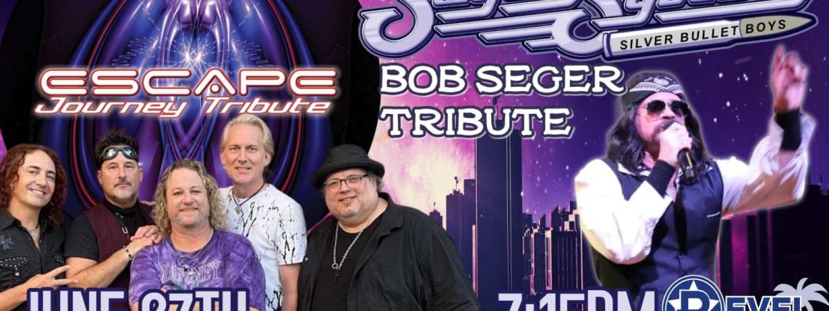 Seger System: Bob Seger Tribute