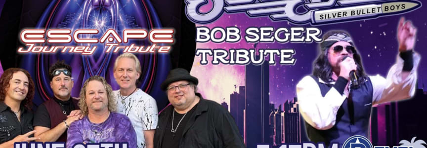 Seger System: Bob Seger Tribute
