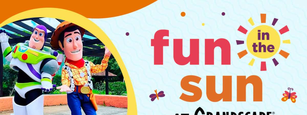 Fun in the Sun: Andy’s Toy Box Adventure