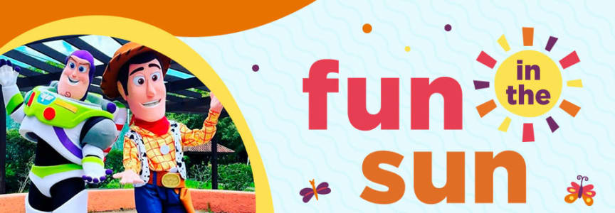 Fun in the Sun: Andy’s Toy Box Adventure