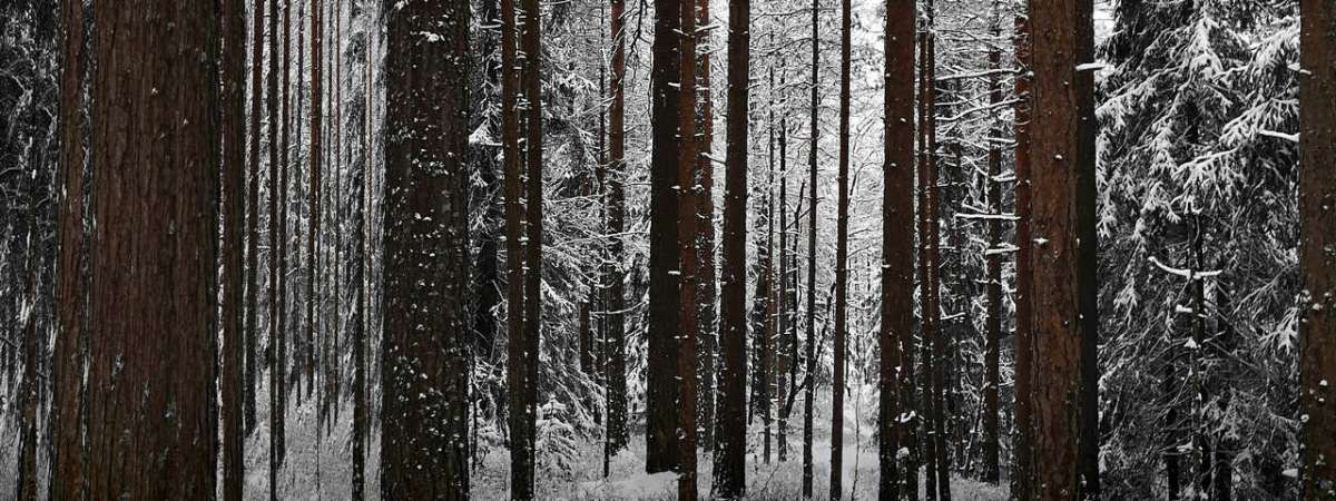 Winterreise