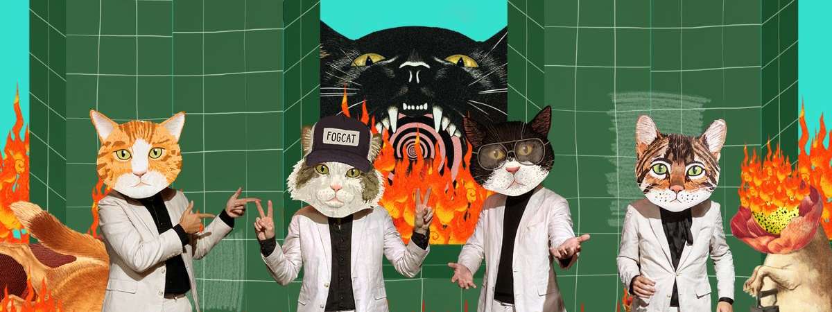 Fantastic Cat w/ Guests