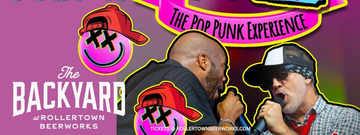 All The Small Things The Pop Punk Experience