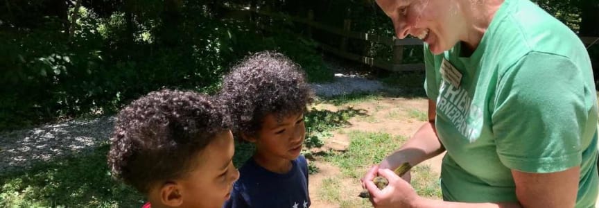 The Curious Naturalist