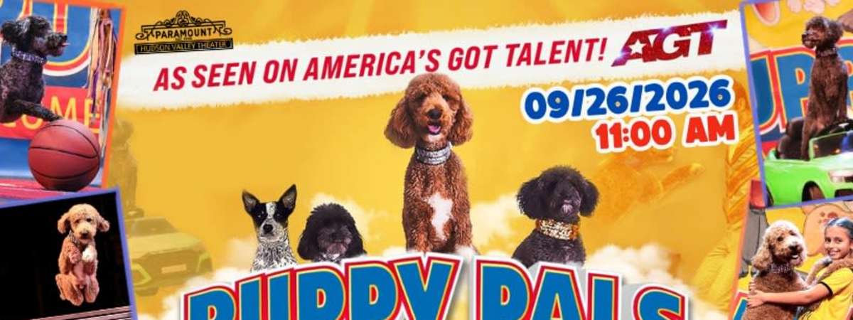 Puppy Pals Live