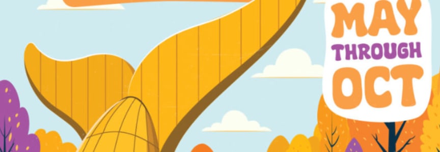 The Whale's Tail: Kevin Sgarro, Lost Puppy Forever, Michael Annotti, Mitch Rocket