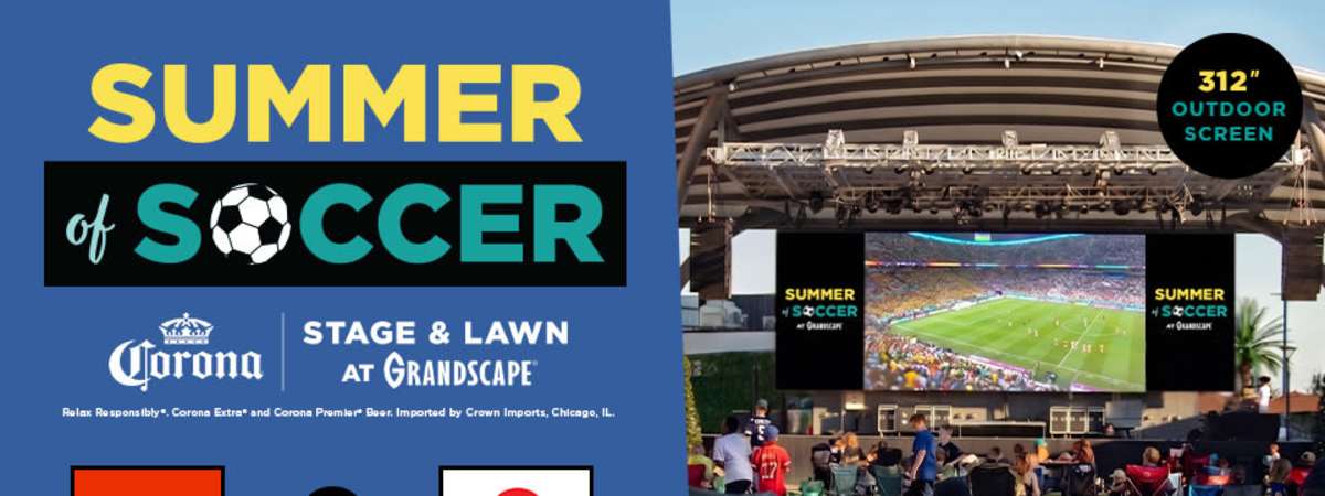 Summer of Soccer: Netherlands vs Japan